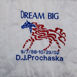 quilt-3-d-j-prochaska