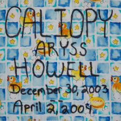 quilt-5-caliopy-aryss-howell