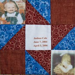 quilt-7-joshua-cole-demel