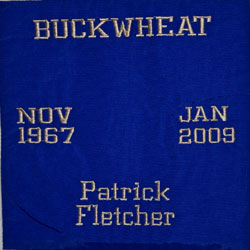 quilt-9-patrick-fletcher