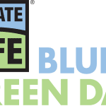 Donate Life Blue & Green Day