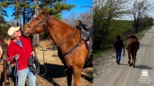 Drew and his horses on his farm. 