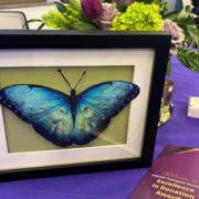 Image of a butterfly art print in a shadow box.